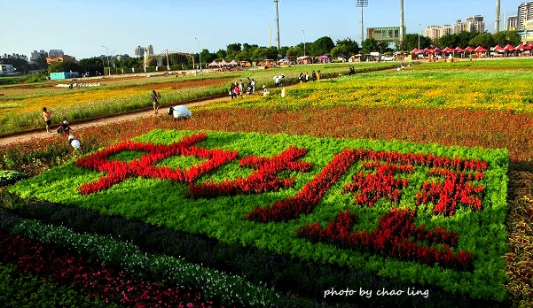 2016桃園花彩節(中壢)-3.JPG - 2016秋之豔