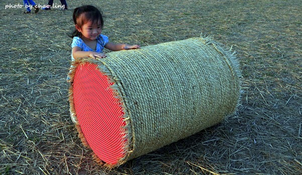 2016桃園花彩節(中壢)-46.JPG - 2016秋之豔