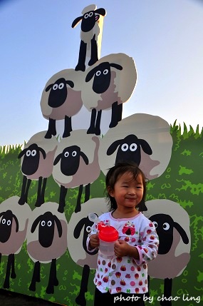 2016桃園花彩節(中壢)-20.JPG - 2016秋之豔