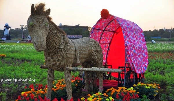 2016桃園花彩節(中壢)-13.JPG - 2016秋之豔