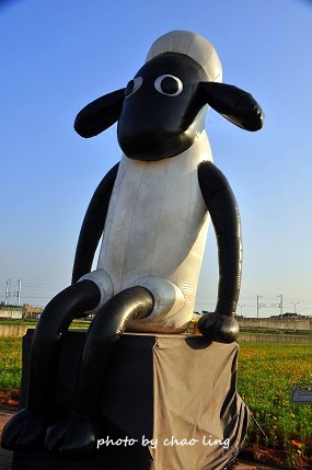 2016桃園花彩節(中壢)-22.JPG - 2016秋之豔