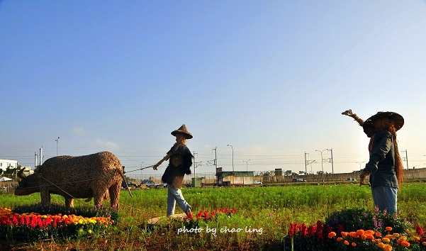 2016桃園花彩節(中壢)-5.JPG - 2016秋之豔