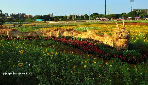 2016桃園花彩節(中壢)-37.JPG - 2016秋之豔