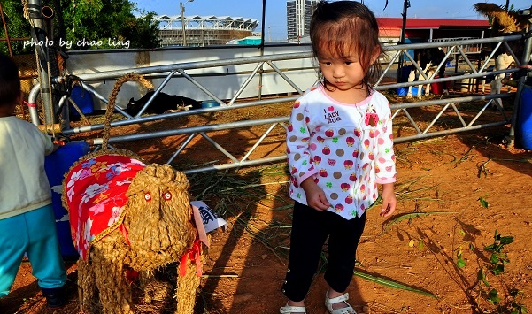 2016桃園花彩節(中壢)-15.JPG - 2016秋之豔