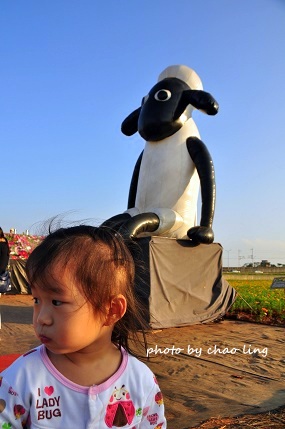 2016桃園花彩節(中壢)-21.JPG - 2016秋之豔