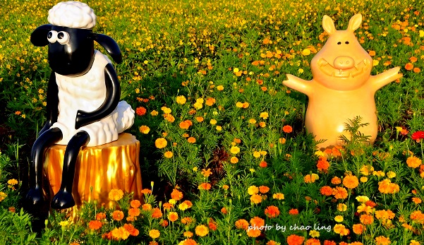 2016桃園花彩節(中壢)-27.JPG - 2016秋之豔