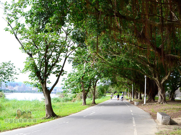 新店溪右岸15-中正河濱公園路段-一小段路有如綠色隧道