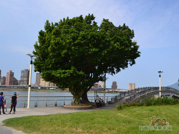 新店溪右岸44-大稻埕往台北橋