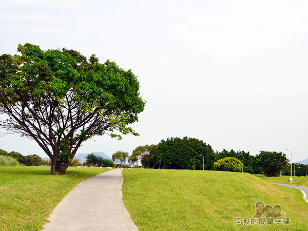 新店溪右岸23-華中橋至往光復橋路段