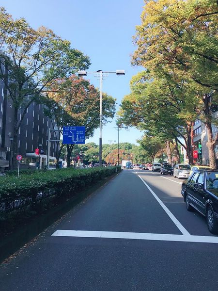 15494104_10207828929985380_480432203_n