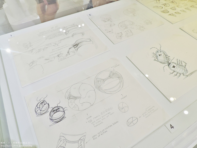 DSCN4261 (2560x1920)