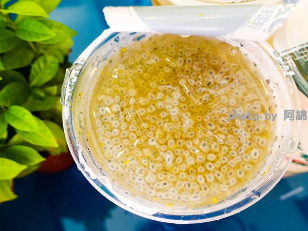 【桃園飲料】茶水印人文茶飲 桃園梅獅店-獨家 L-阿拉伯糖,喝甜蜜少負擔,茶飲杯杯現泡,自然回甘.楊梅特色茶飲/桃園手搖飲料/桃園飲料美食小吃