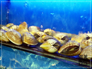 1114-鮮納肚長安店12