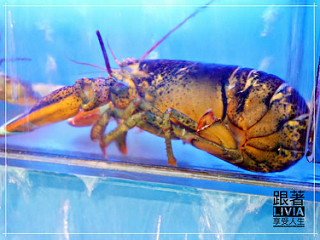 1114-鮮納肚長安店11