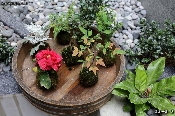 三道一鍋 杳 概念店:三道一鍋 · 杳 概念店 日式涮涮鍋 國父紀念館站美食 CP值高 精緻又好吃的養生火鍋