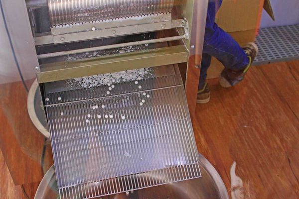 【新竹美食】丸作職人現做珍珠-全台獨創蕎麥珍珠