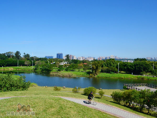 八里-十三行文化公園34-公園尾端的生態池