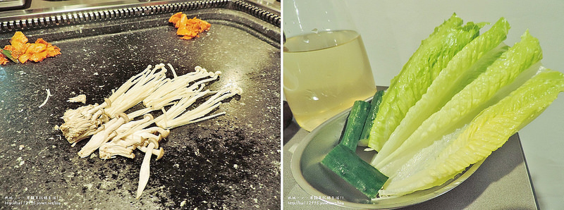 DSCN4786-horz (1600x597)