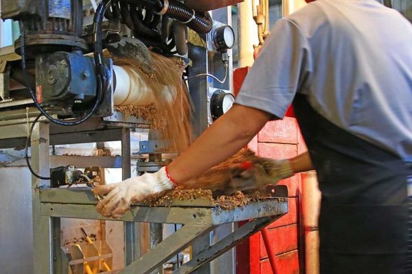 【台中旅遊】舜堂酒業-獨步全球的蒸餾技術高梁酒、茶酒