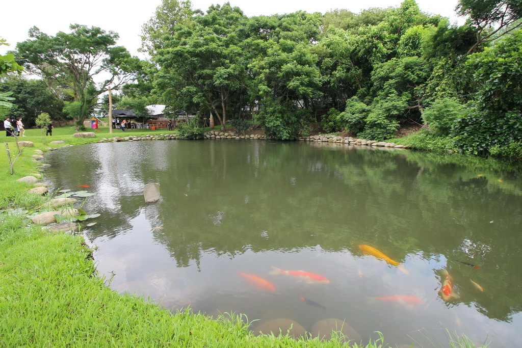 福華飯店，大閘蟹套餐，