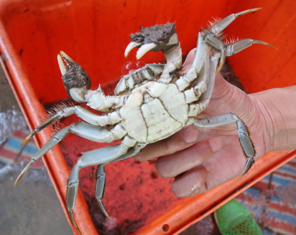 福華飯店，大閘蟹套餐，