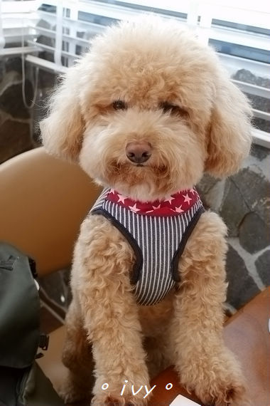 貳樓(新竹店)： Second Floor Cafe 貳樓 (新竹店)