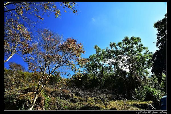 20151213苗栗馬拉邦賞楓8