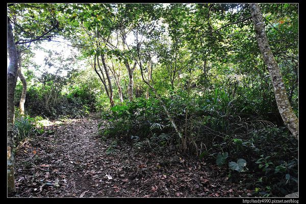 20151213苗栗馬拉邦賞楓15