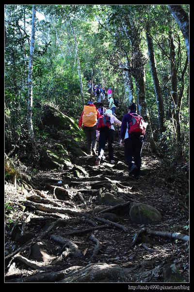 20151213苗栗馬拉邦賞楓16