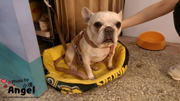 IMAG0929 (1024x579).jpg