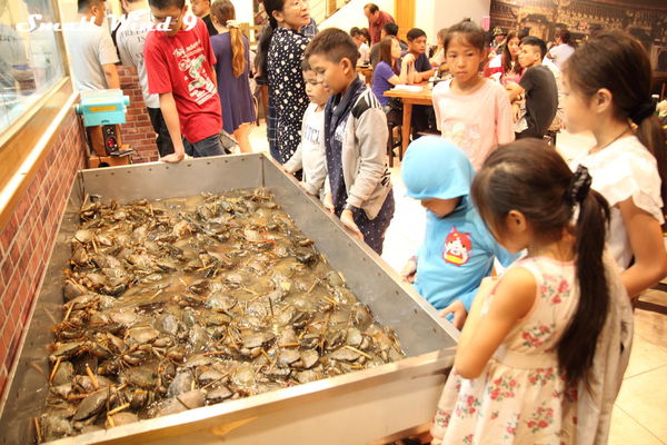 小朋友們的活標本教材