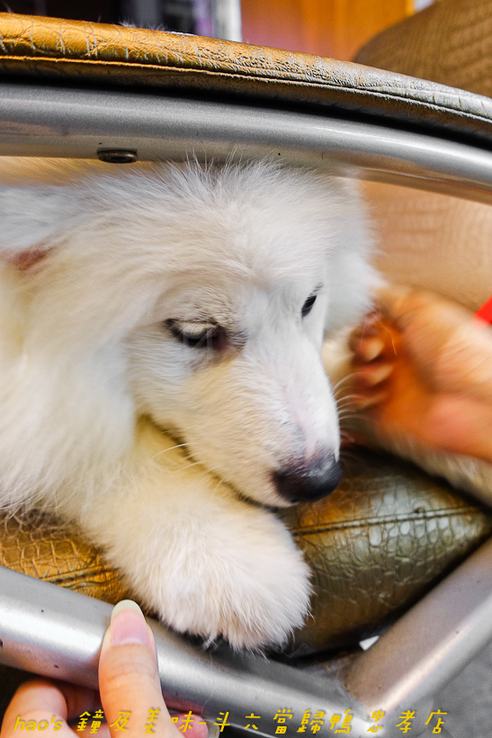 201611鐘及美味-斗六當歸鴨 忠孝店084.jpg