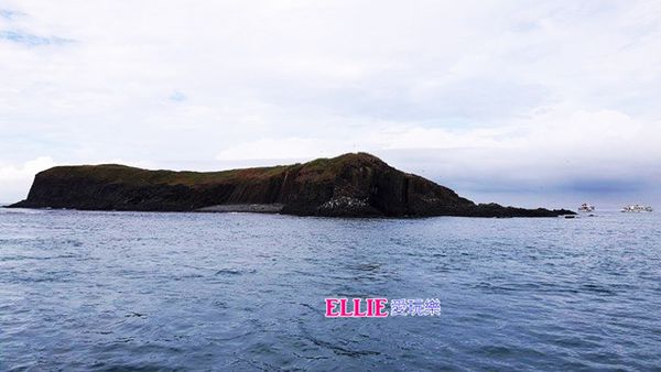 14256425_1179406132080605_578908044_n