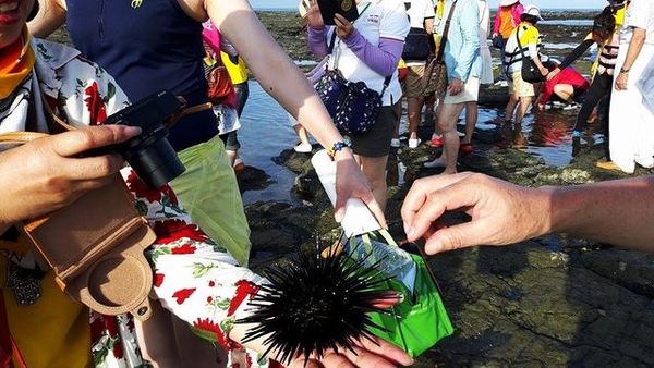 14218436_1179405698747315_1853586164_n