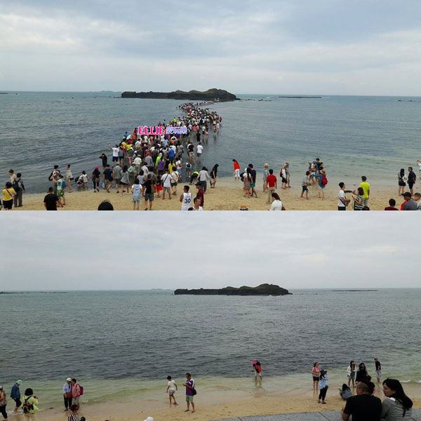 14249107_1178630605491491_626835832_n