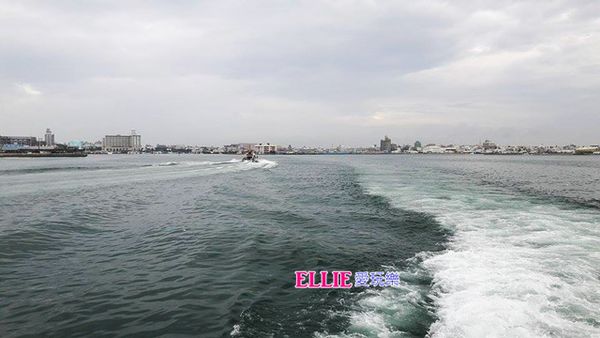 14249321_1179405598747325_763070968_n