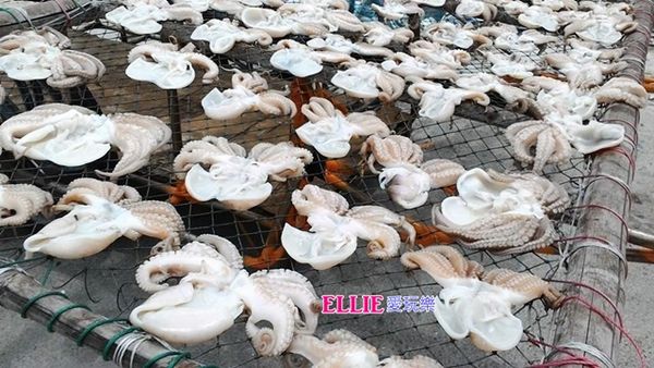 14237699_839914336145742_248277953873606497_n