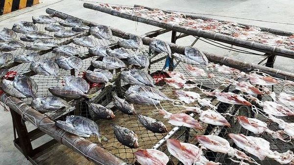 14269450_1179405722080646_1864253999_n