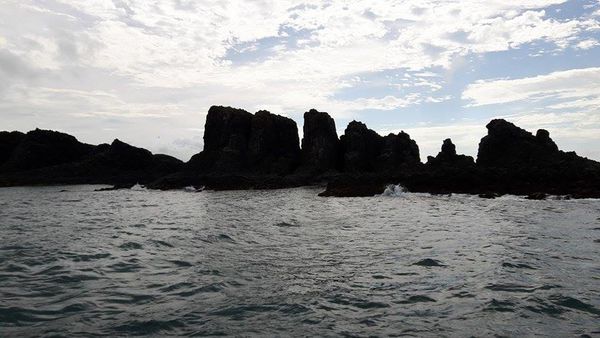 14249215_1179406345413917_1502430658_n