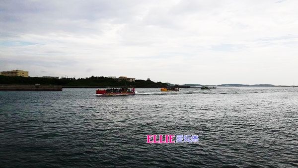 14287653_1179405608747324_188763109_n