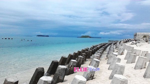 14237721_839914146145761_992117501277654029_n