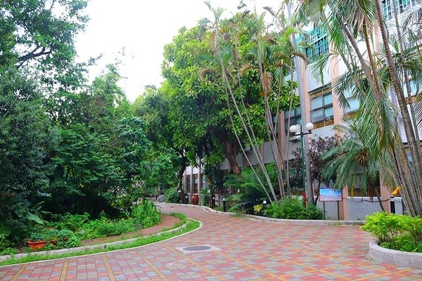 螢橋國小:【台北景點】守護充滿童趣的昆蟲園地&螢橋國小彩虹跑道成為校園美拍的聚焦點