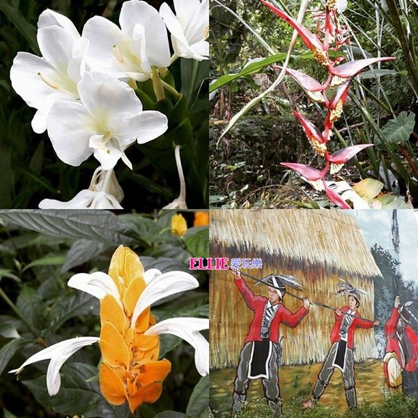 14365341_1185110118176873_651193306_n