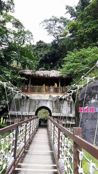 14341487_1185109974843554_431760743_n