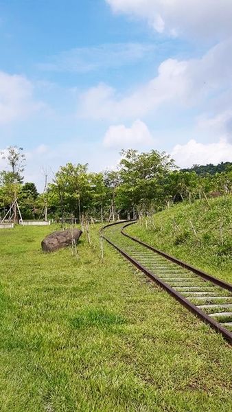 14328812_1185110354843516_873485851_n