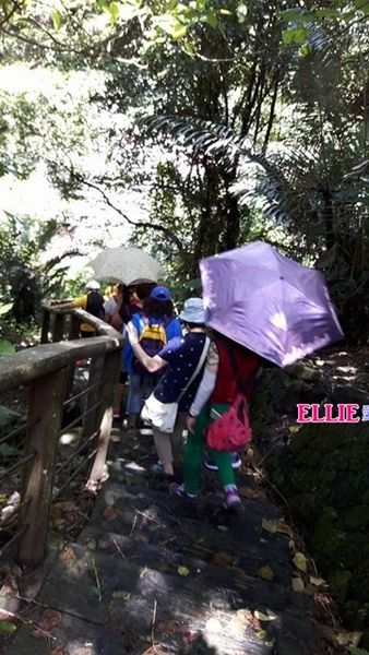 14329011_1185110301510188_1156386061_n