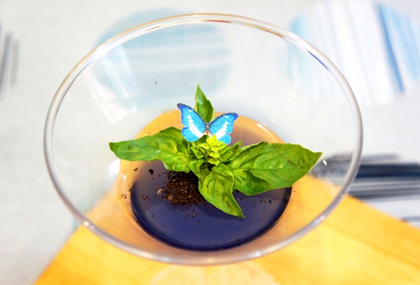 夏嘟瑪杜義麵坊：夏嘟瑪杜