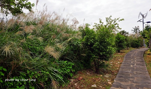 太平濱海步道-8.JPG - 2016秋之豔