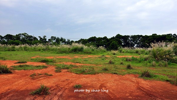 太平濱海步道-4.JPG - 2016秋之豔