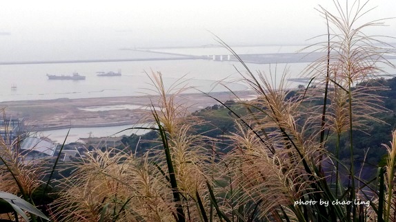 太平濱海步道-26.jpg - 2016秋之豔